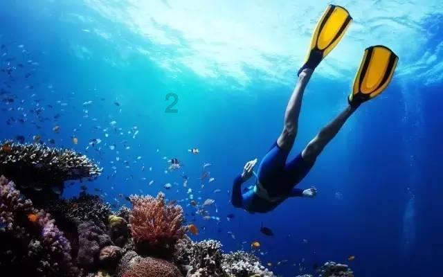 口碑越来越差的7大综艺：观众都看不下去了，节目还厚着脸皮办